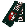 NEW Scarf - green/red/white
