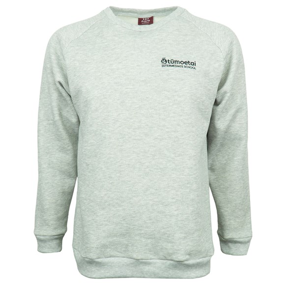 Sweatshirt I-U25RC300-OTI