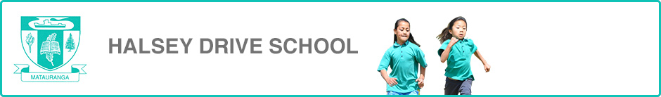 halsey drive School uniform